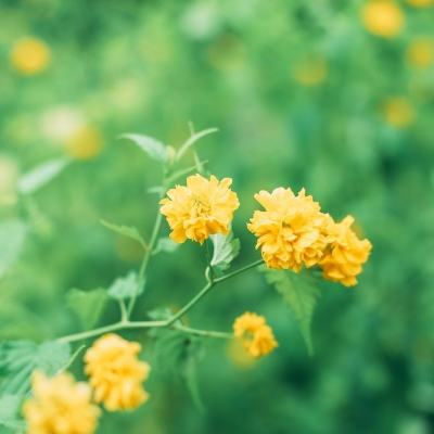 新莽荒纪2微端(暂未上线)v1.2.0 安卓版